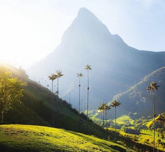 Colombia con aroma di caffé