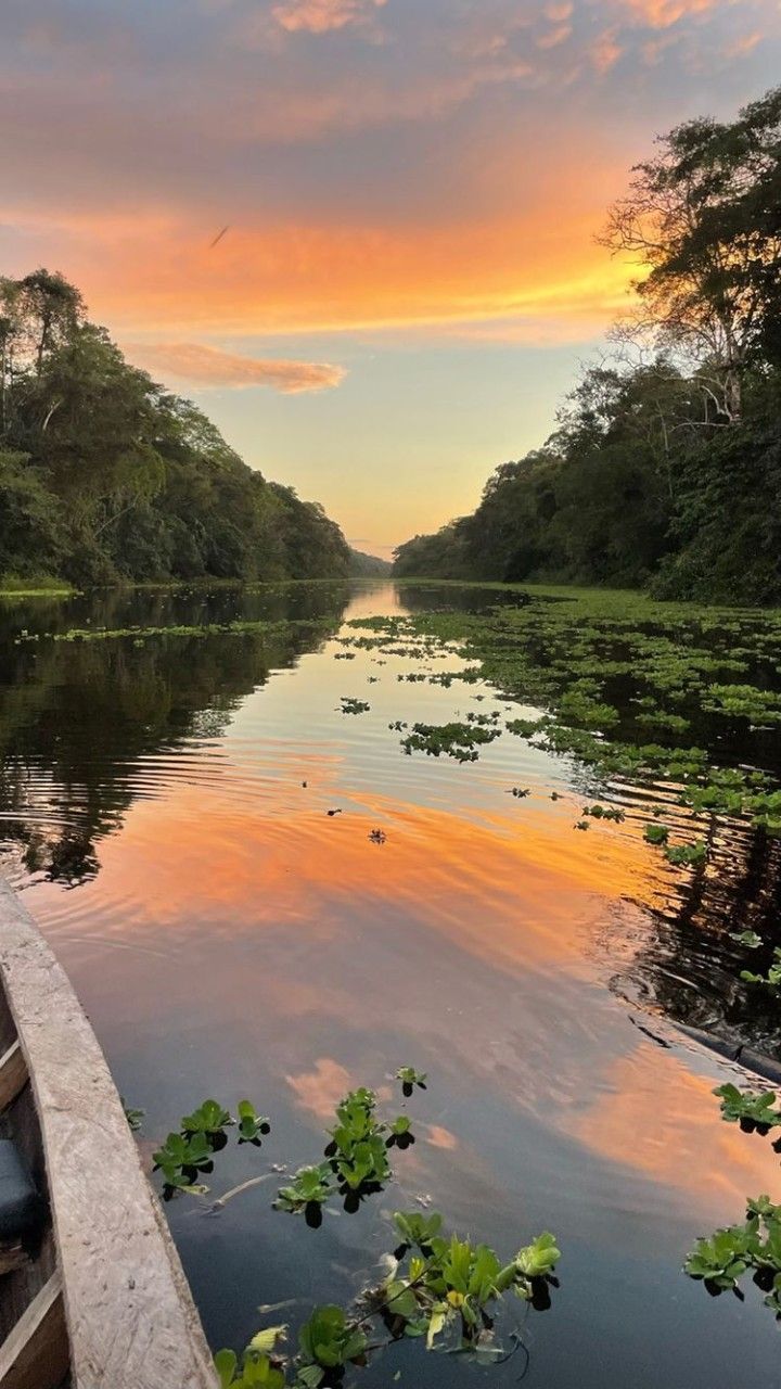 Amazonas