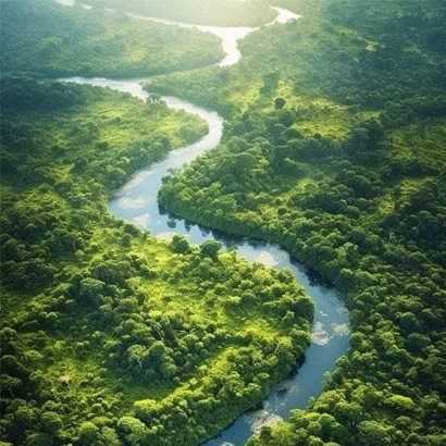 Amazonas